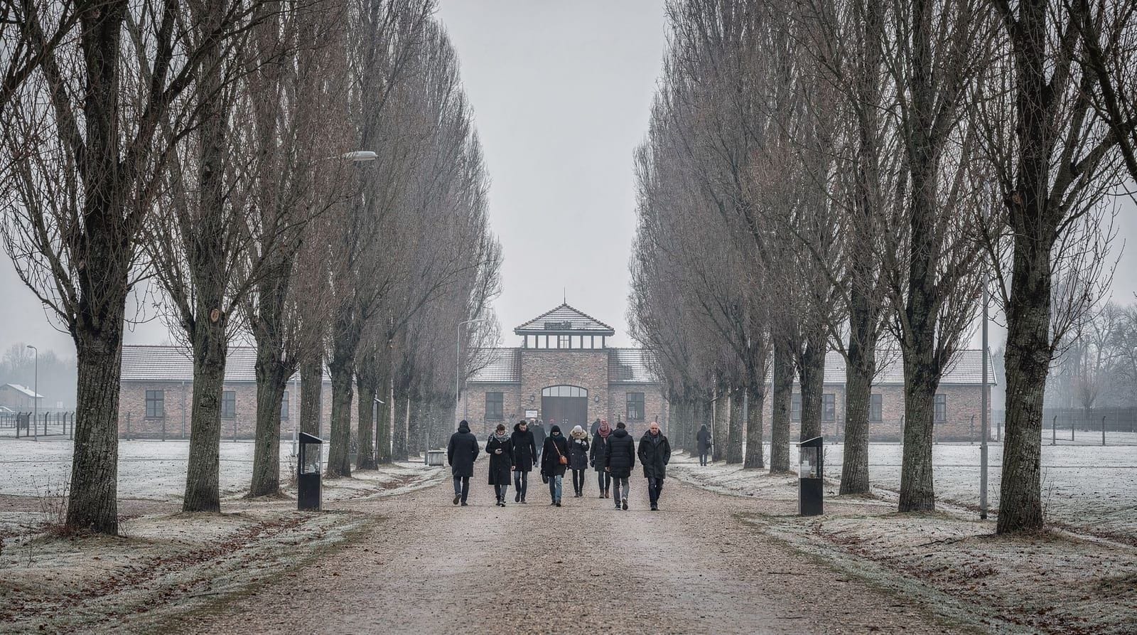 From Munich: Dachau Memorial Site half-day trip
